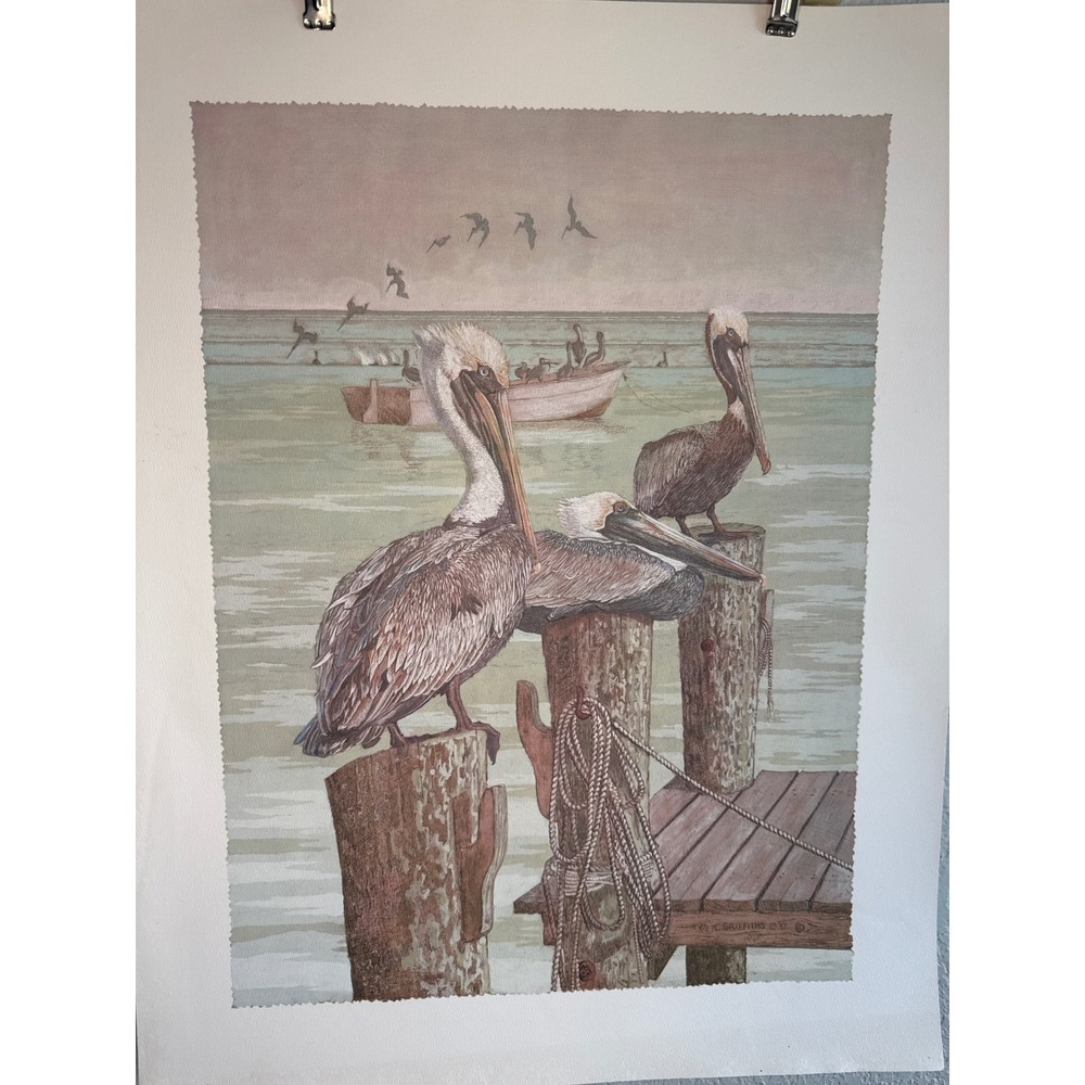 VINTAGE Chris Griffith Brown Pelicans Art Print 1987 Large Brown Excellent